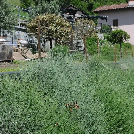 Casa Della Lavanda Holiday home *